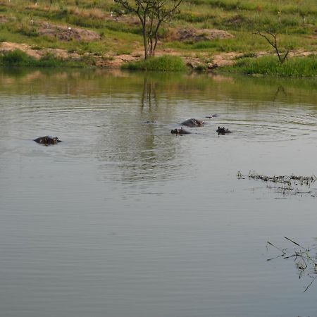 Kruger Park Lodge - Golf Safari Sa Hazyview Kültér fotó