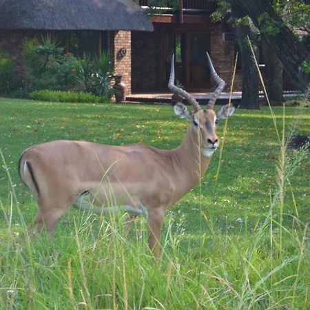 Kruger Park Lodge - Golf Safari Sa Hazyview Kültér fotó