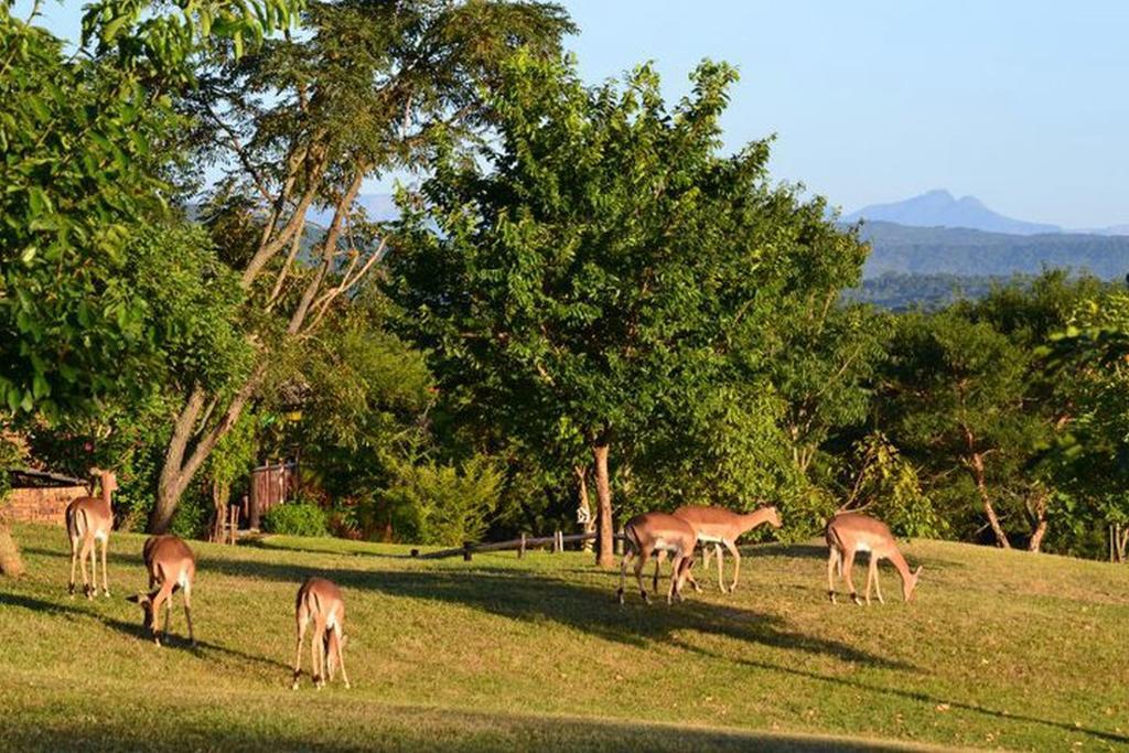 Kruger Park Lodge - Golf Safari Sa Hazyview Kültér fotó