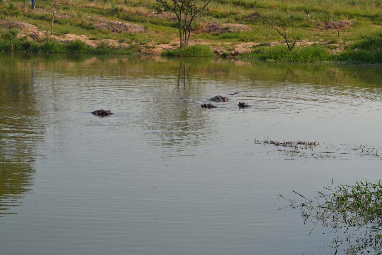 Kruger Park Lodge - Golf Safari Sa Hazyview Kültér fotó