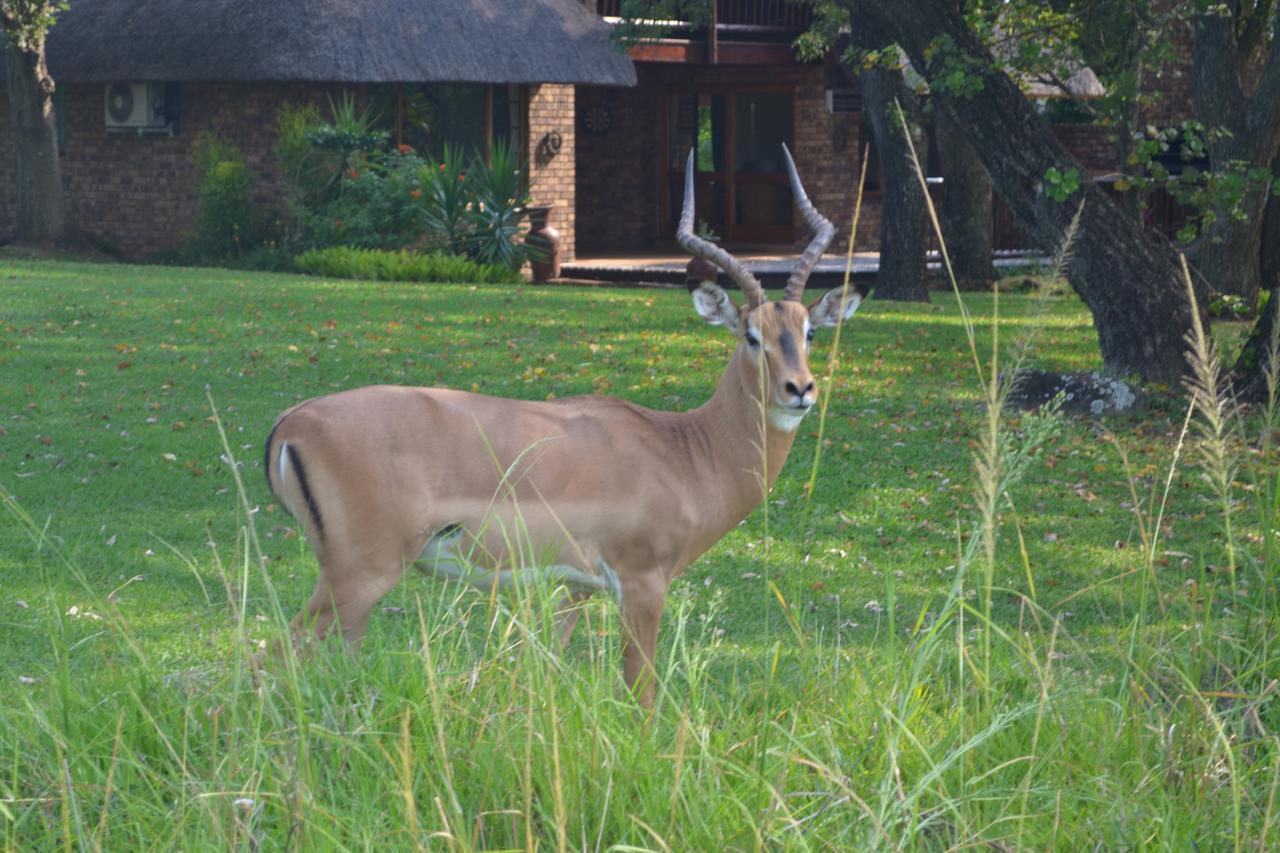 Kruger Park Lodge - Golf Safari Sa Hazyview Kültér fotó