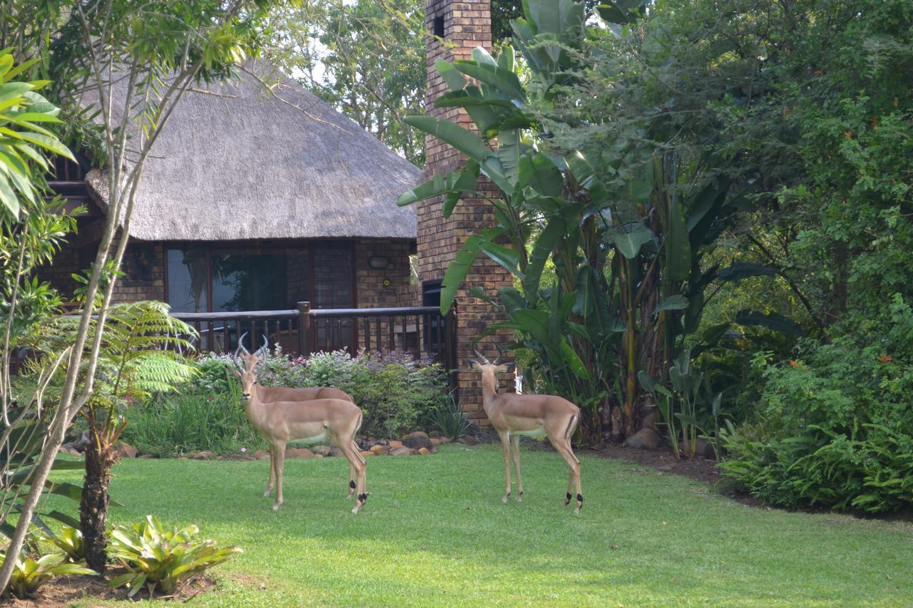 Kruger Park Lodge - Golf Safari Sa Hazyview Kültér fotó