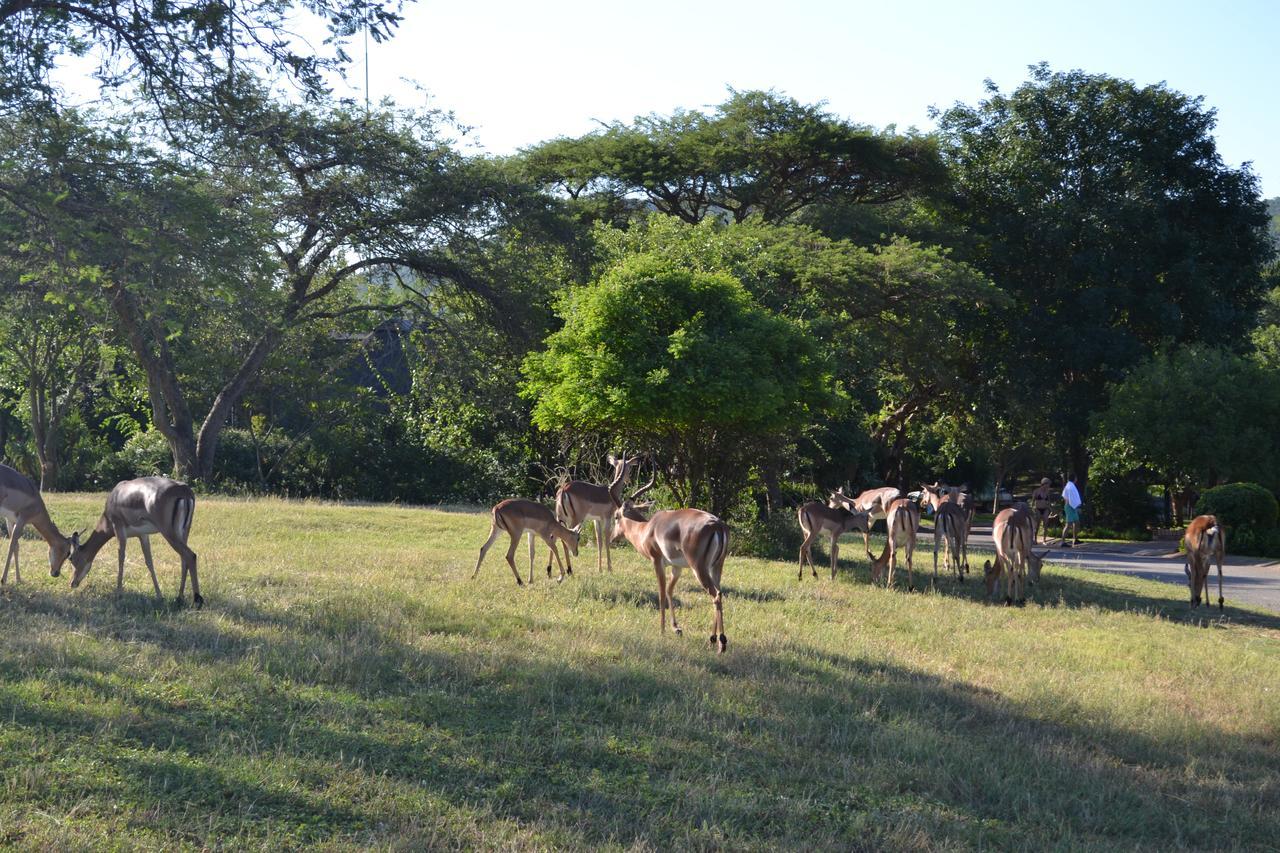 Kruger Park Lodge - Golf Safari Sa Hazyview Kültér fotó