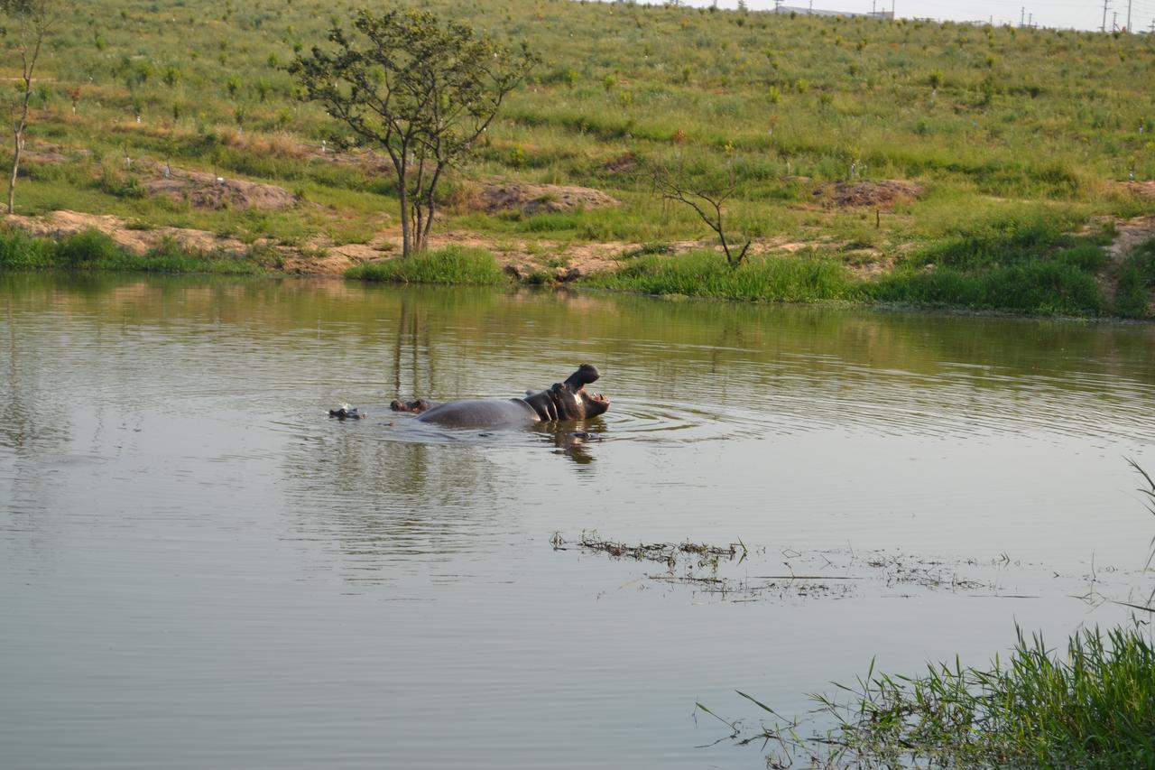 Kruger Park Lodge - Golf Safari Sa Hazyview Kültér fotó