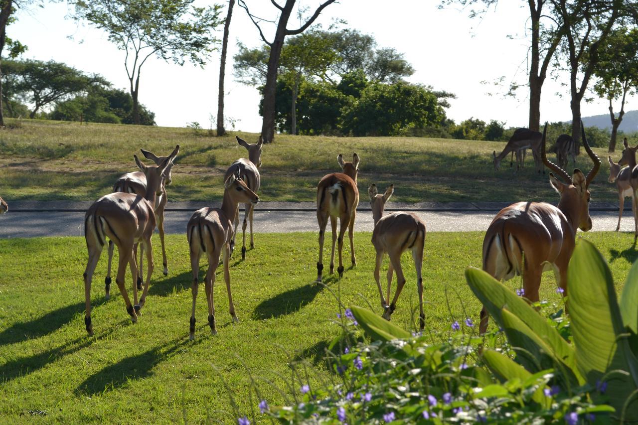 Kruger Park Lodge - Golf Safari Sa Hazyview Kültér fotó