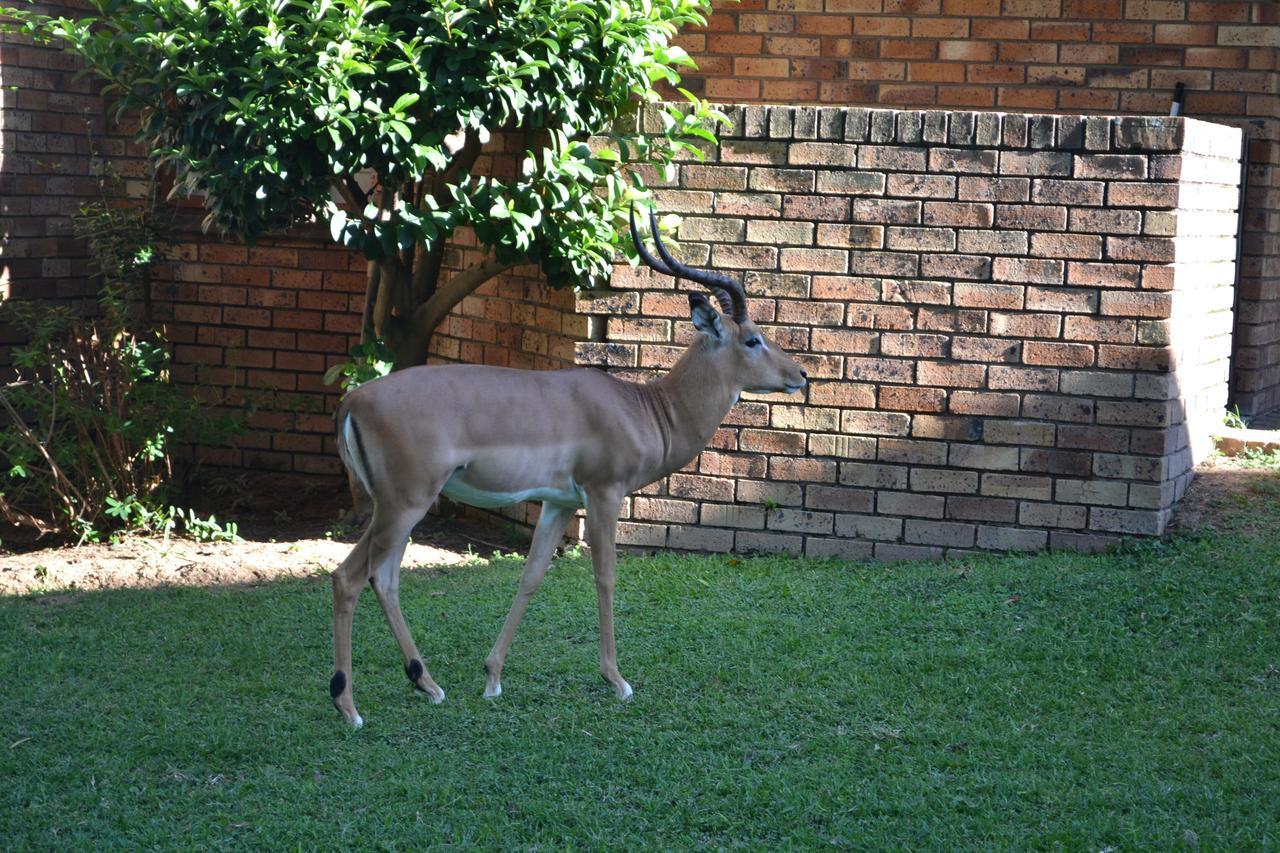 Kruger Park Lodge - Golf Safari Sa Hazyview Kültér fotó